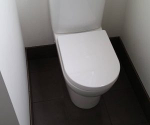 Bathroom renovation - toilet and new tiling newcastle